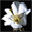 Great Works of Art/The Impressionists 1.0 - Anmerkung und Grußkarten zum Drucken bereit. Great Works of Art/The Impressionists 1.0 32x32 pixels icon